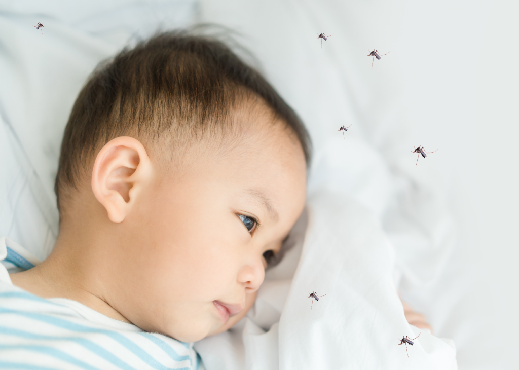 “Dengue fever in children” threats from mosquitoes that parents need to watch out!