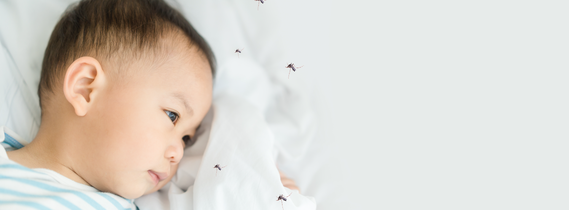 “Dengue fever in children” threats from mosquitoes that parents need to watch out!