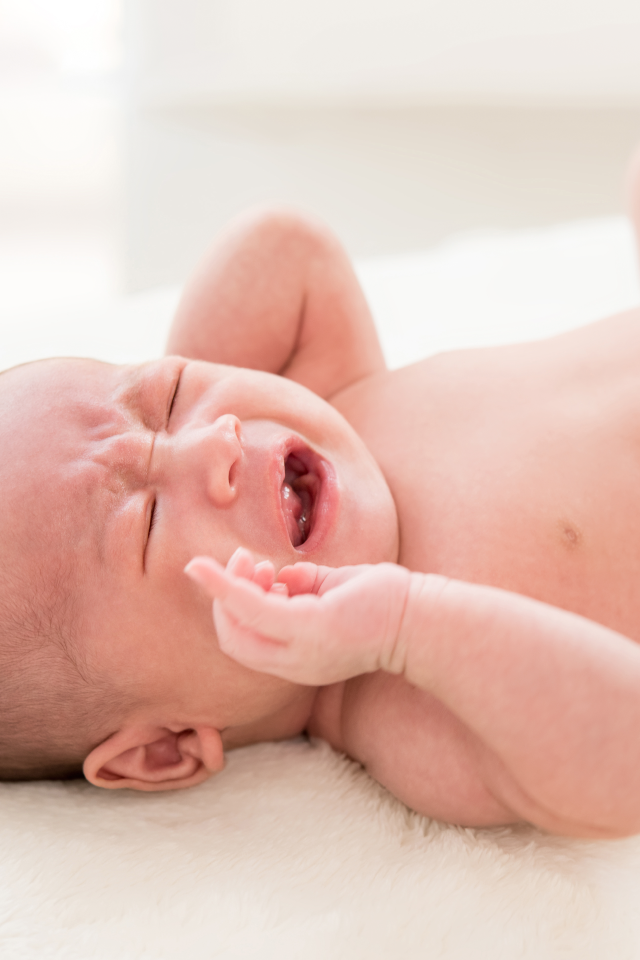 How to differentiate between “Contact dermatitis” and “Skin allergy”?