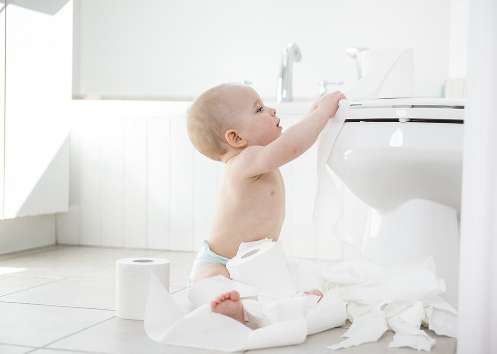 When should you potty train your child?