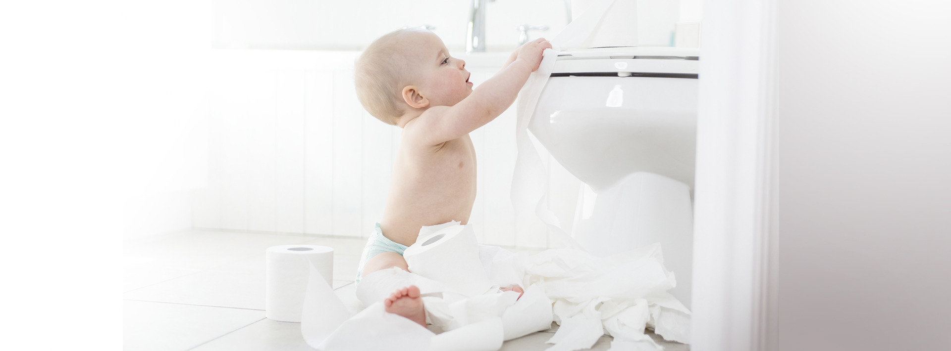 When should you potty train your child?